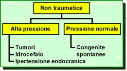 no org traumatica